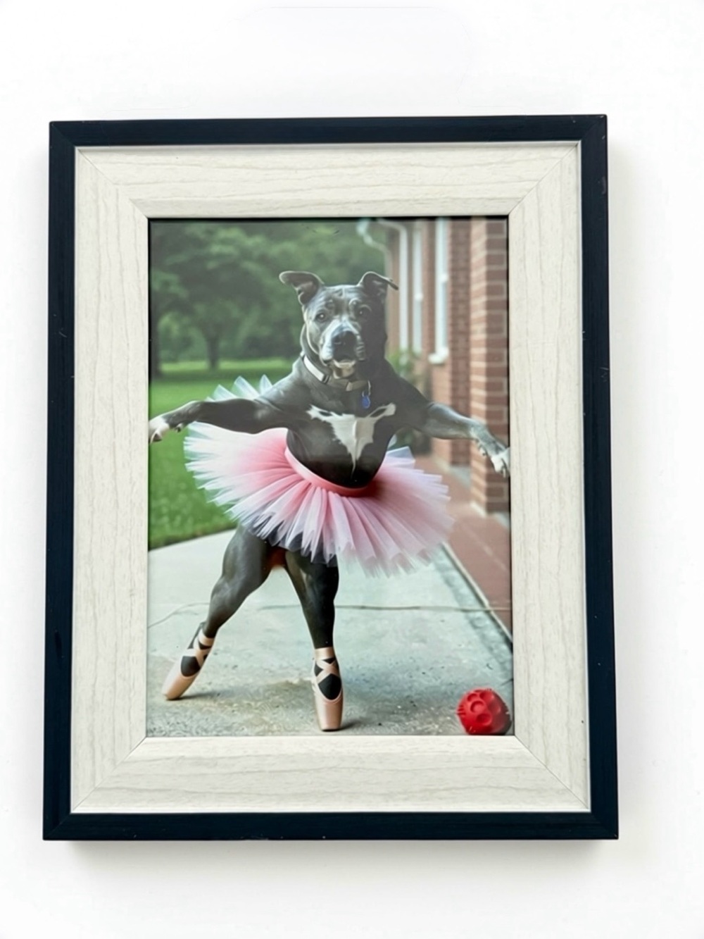 Framed Photo Art - Dancing Dog in Pink Tutu
